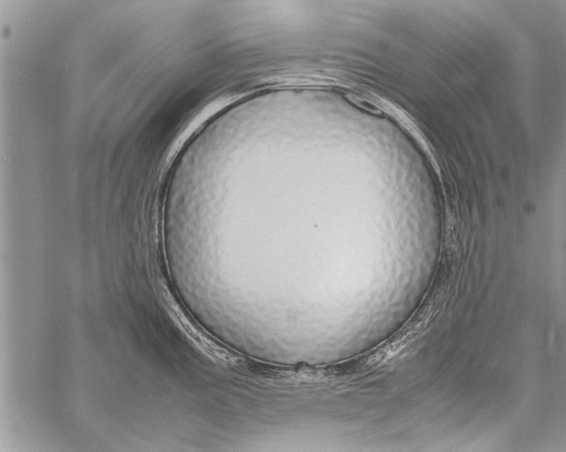 X0000058131195200510171328