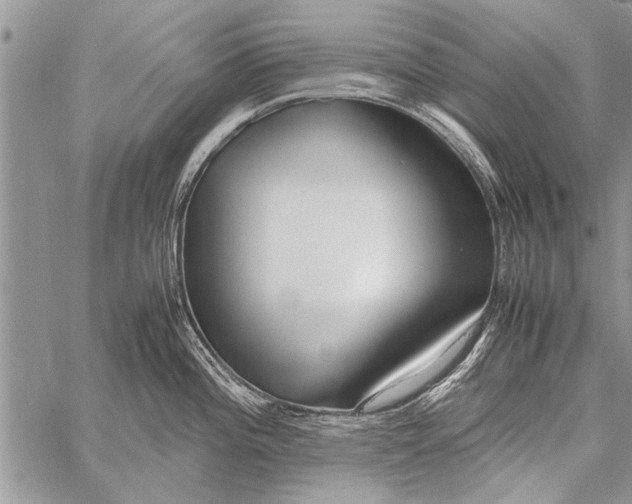 X0000058131196200510171328