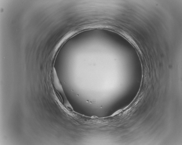 X0000058131197200510171328