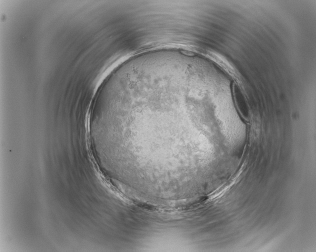 X0000058131198200510171328