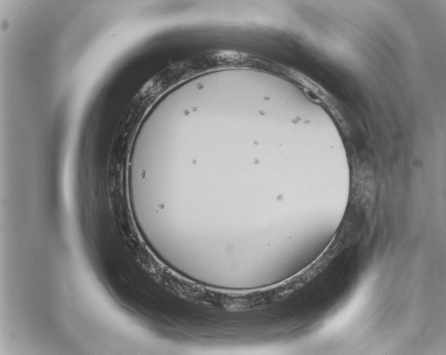 X0000058131199200510171328