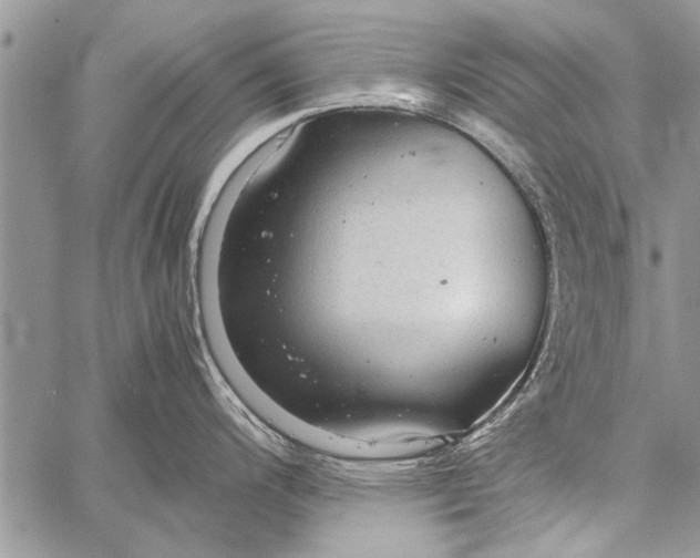 X0000058131200200510171328