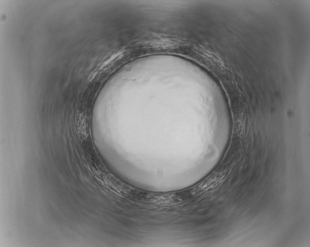 X0000058131205200510171327