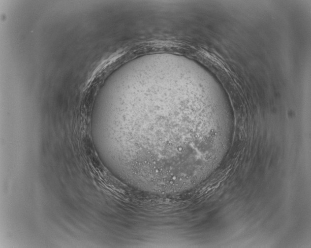 X0000058131207200510171327