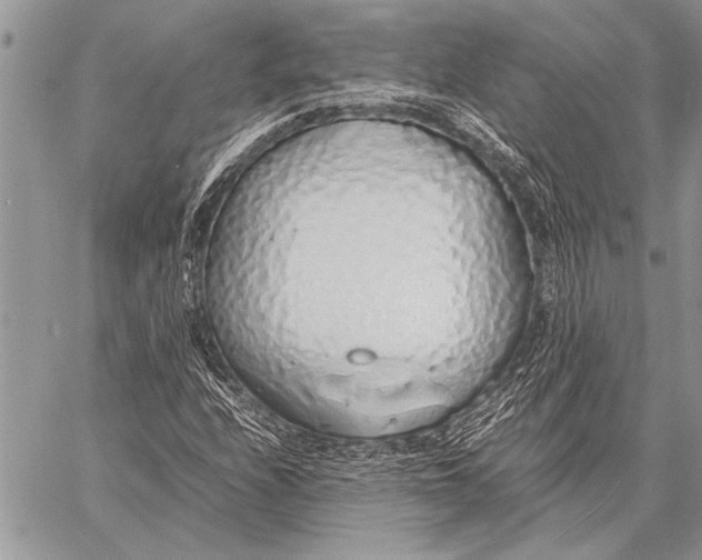 X0000058131208200510171327