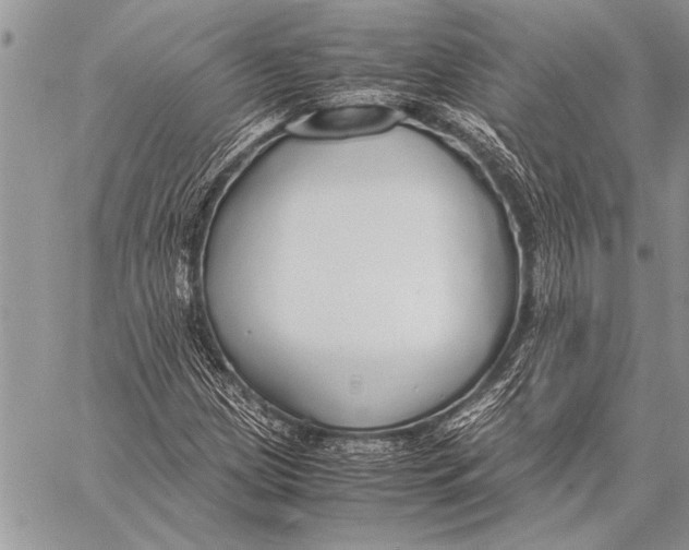 X0000058131209200510171327