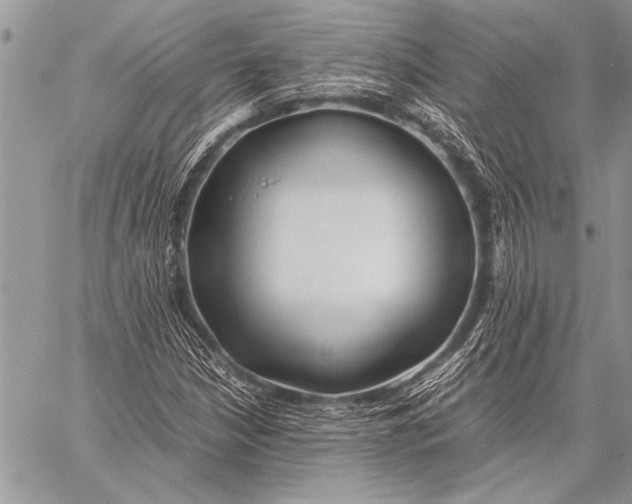 X0000058131210200510171327