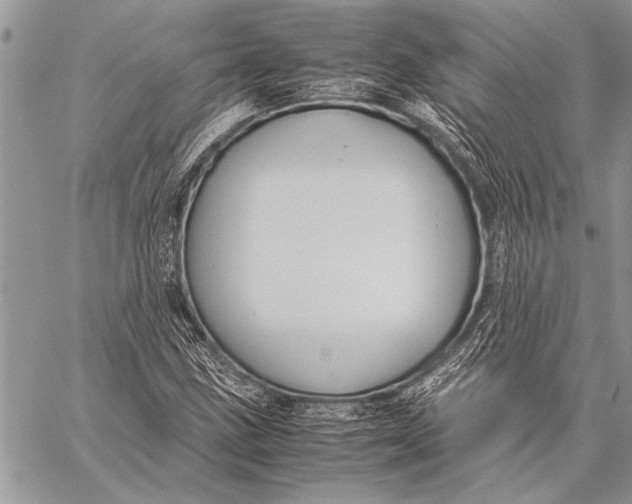 X0000058131211200510171327