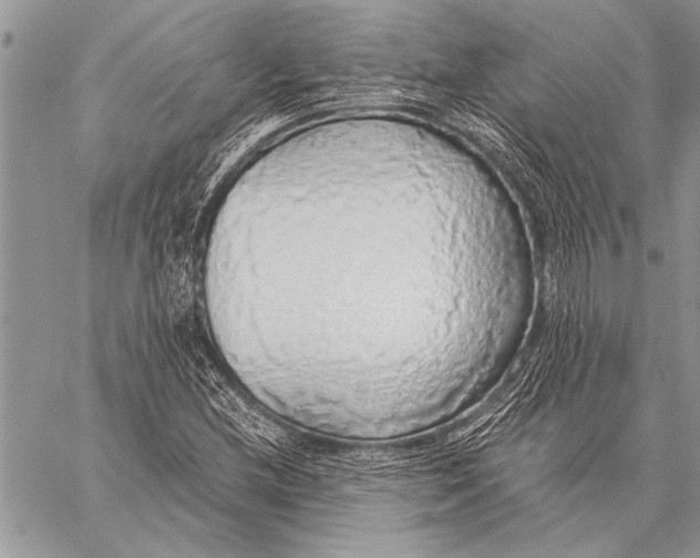 X0000058131212200510171327