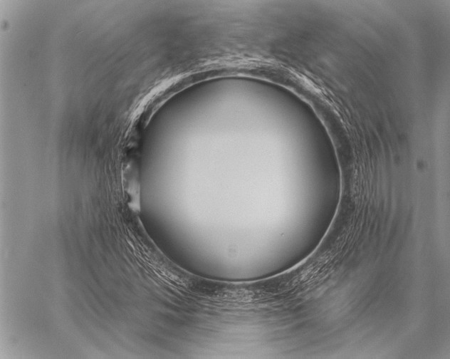 X0000058131214200510171327