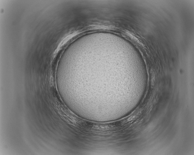 X0000058131215200510171327