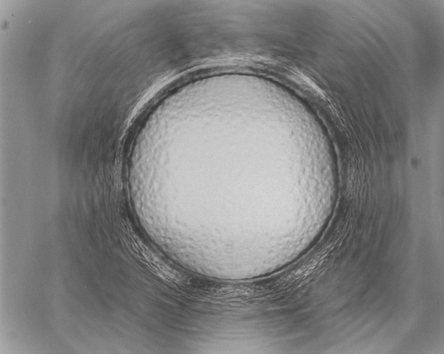 X0000058131216200510171327