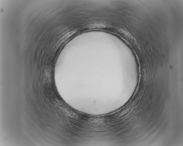 X0000058131217200510171327