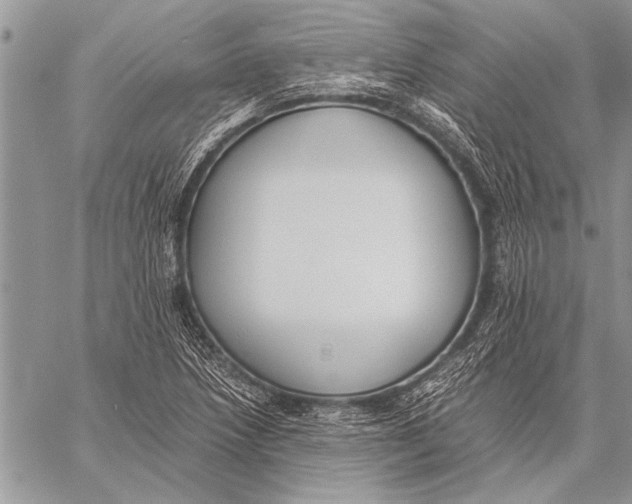 X0000058131218200510171327