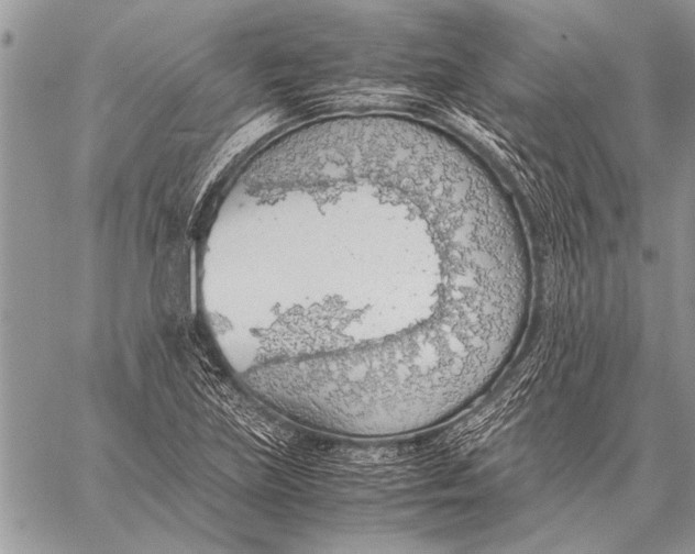 X0000058131219200510171327