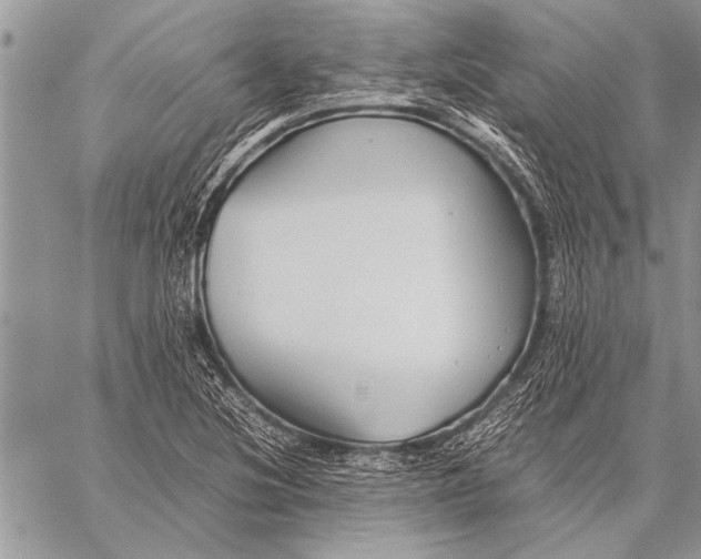 X0000058131220200510171327