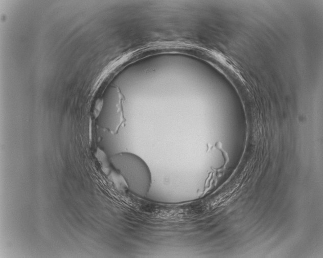 X0000058131221200510171327