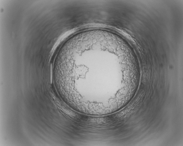 X0000058131223200510171328