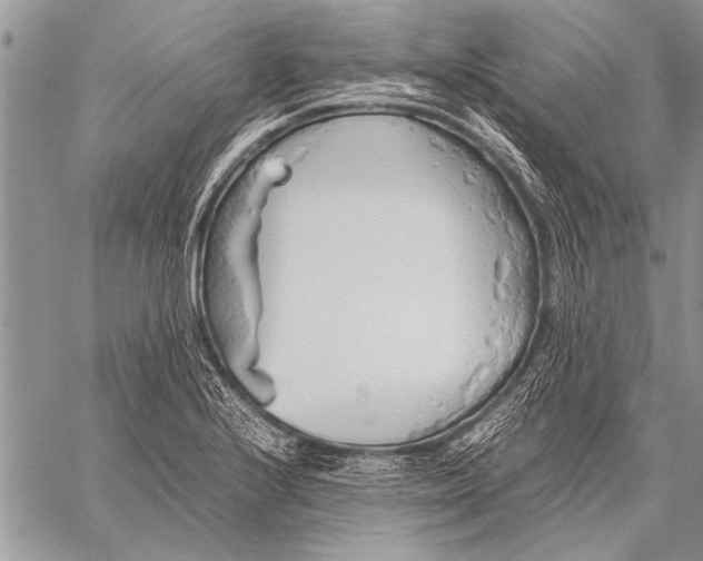 X0000058131224200510171328