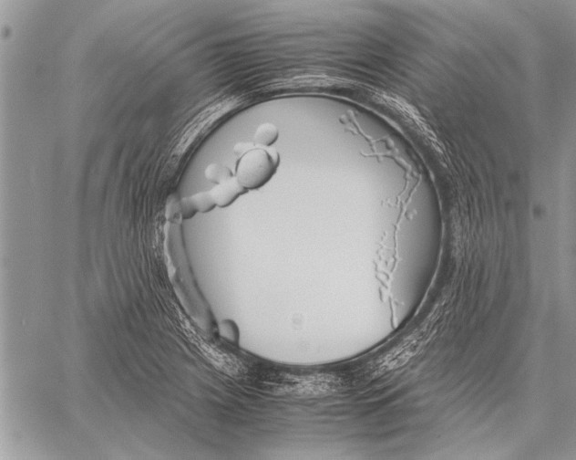 X0000058131225200510171328