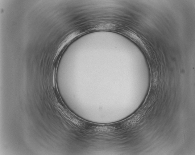 X0000058131227200510171328