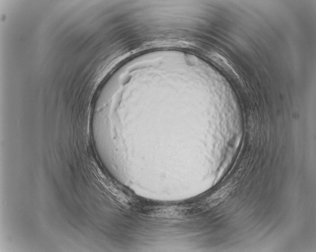 X0000058131228200510171328