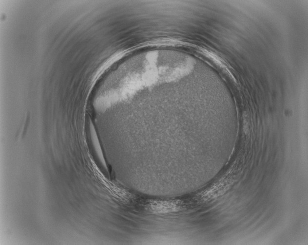 X0000058131229200510171328