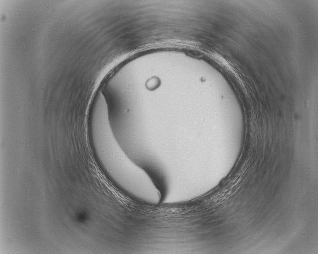 X0000058131230200510171328