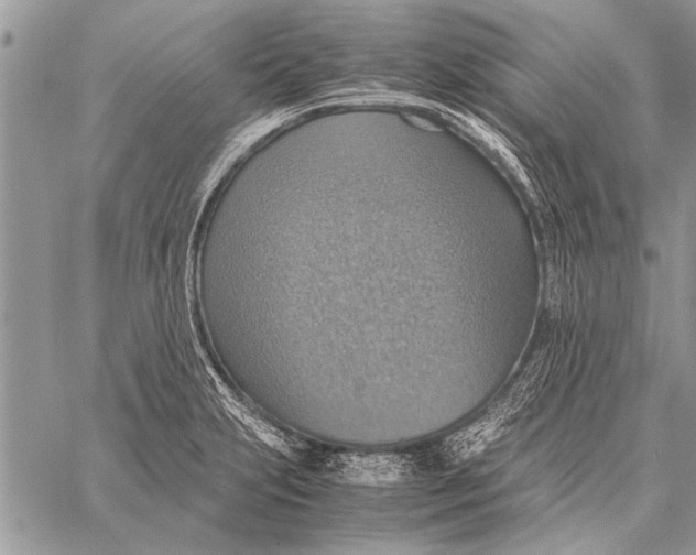 X0000058131231200510171328