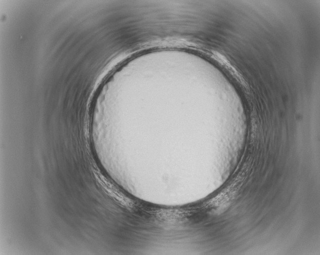 X0000058131232200510171328