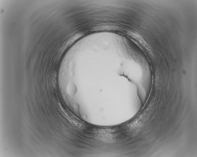 X0000058131233200510171328