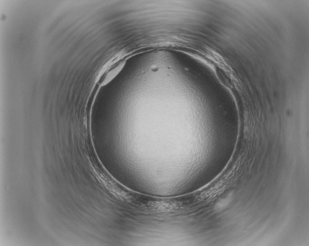 X0000058131234200510171328