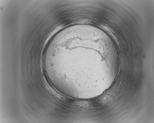 X0000058131235200510171328