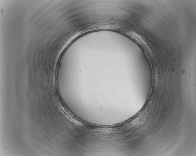 X0000058131236200510171328