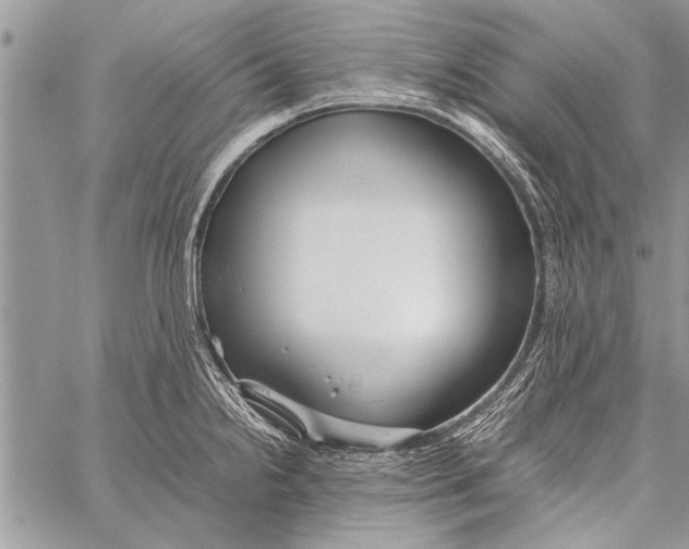 X0000058131238200510171328