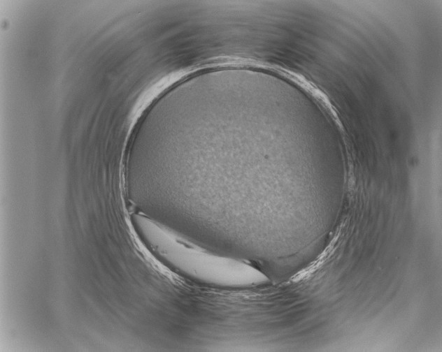 X0000058131239200510171328