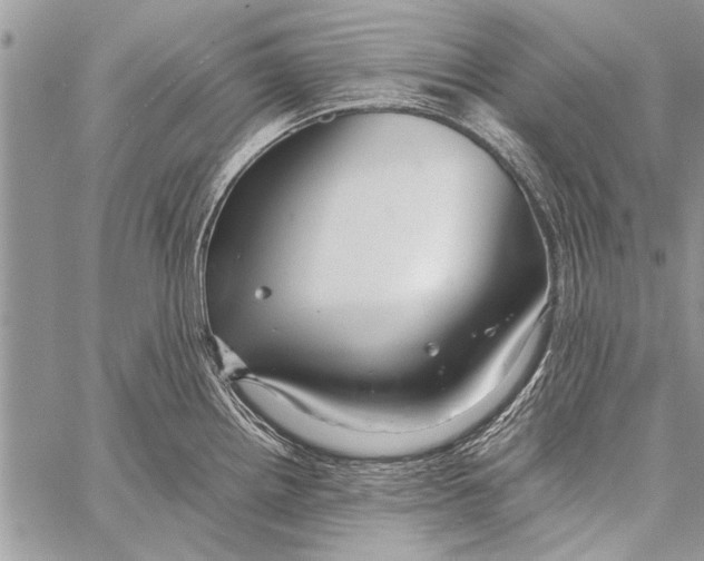 X0000058131242200510171328