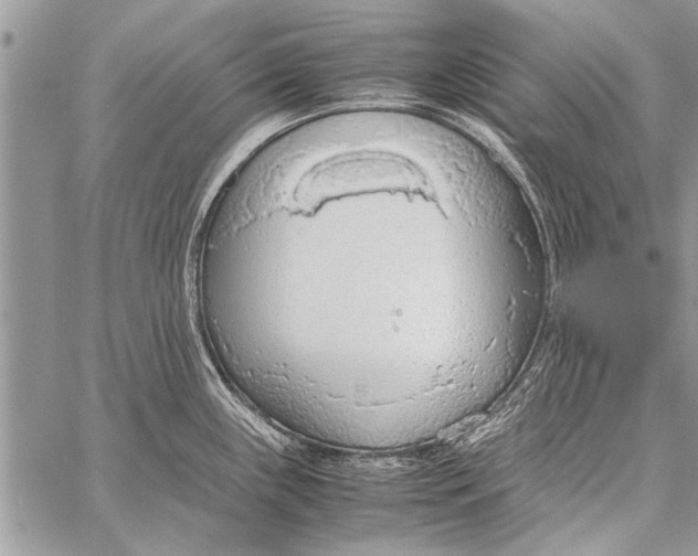 X0000058131243200510171328