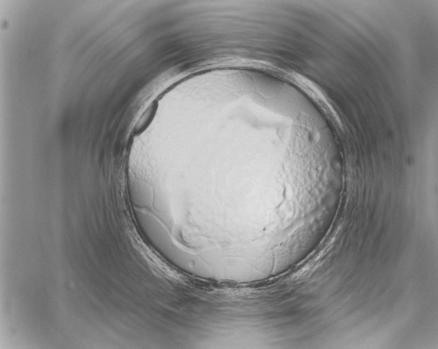 X0000058131244200510171328