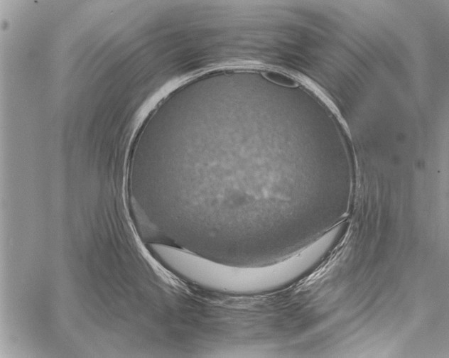 X0000058131245200510171328