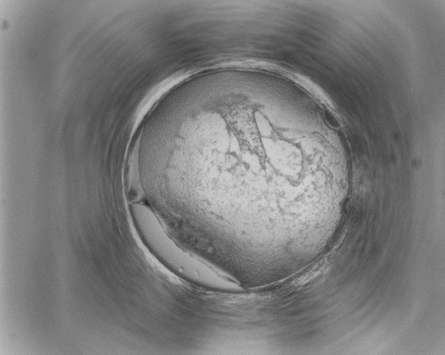 X0000058131247200510171328