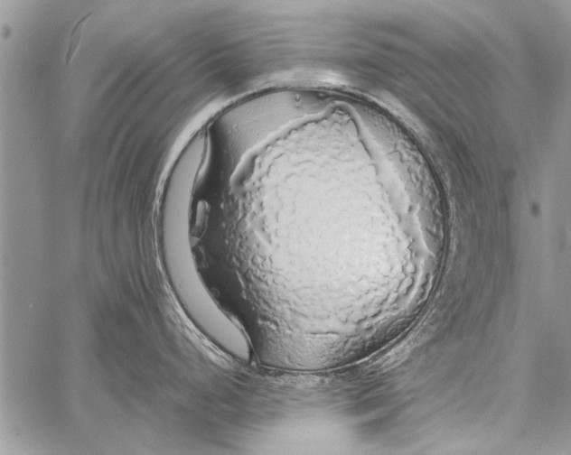 X0000058131248200510171328