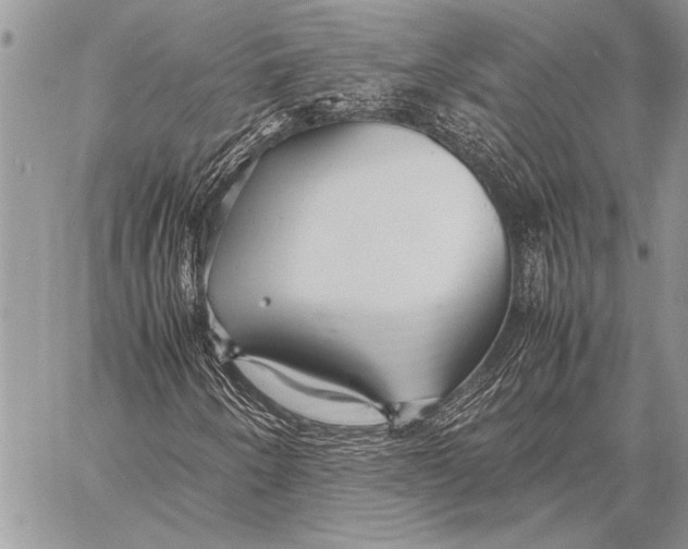 X0000058131250200510171327