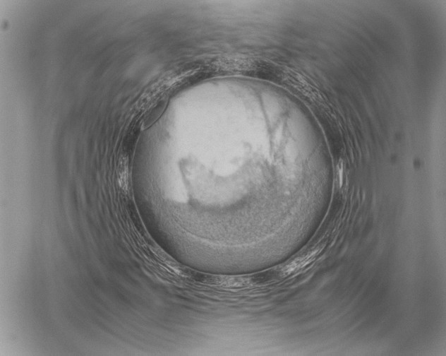 X0000058131251200510171327