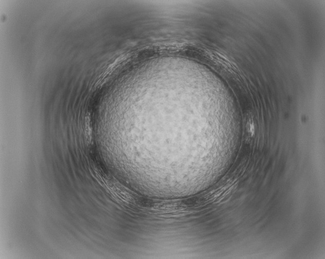 X0000058131252200510171327