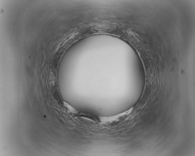 X0000058131253200510171327