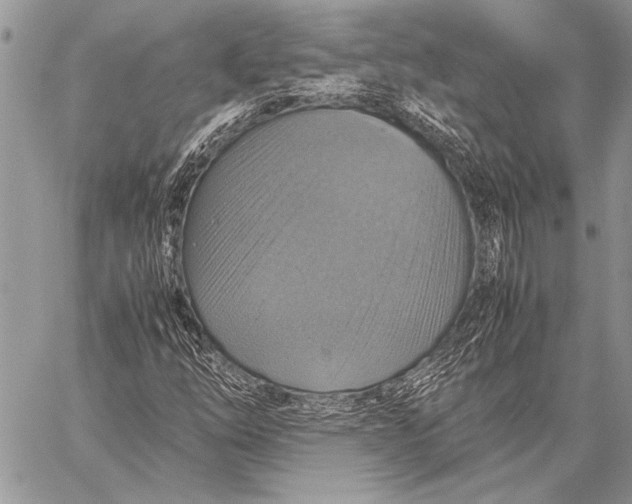 X0000058131254200510171327