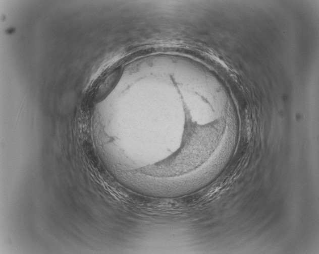 X0000058131255200510171327