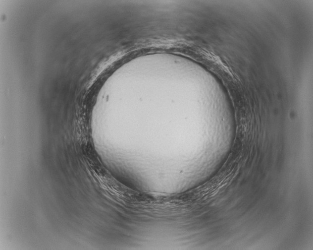 X0000058131256200510171327