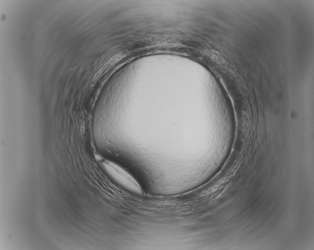 X0000058131257200510171327